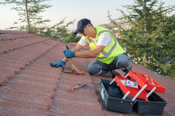 Best Roof Maintenance Services  in Hwatha, IA