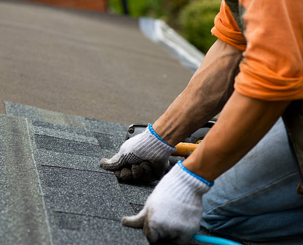 Best Roof Waterproofing Services  in Hwatha, IA