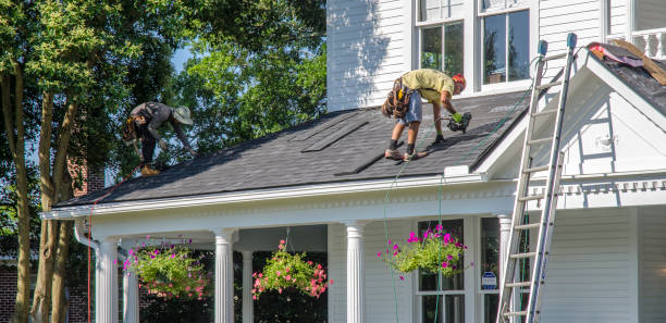 Best Metal Roofing Contractor  in Hwatha, IA